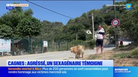 Un habitant de Cagnes-sur-Mer agressé pour avoir demandé à des jeunes de rouler moins vite