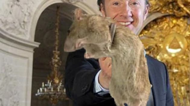 Meme du rat avec Stephane Bern
