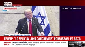 "Gaza sera démilitarisée, le Hamas sera désarmé", assure Donald Trump
