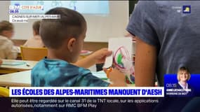 Alpes-Maritimes: pénurie d'AESH dans les écoles