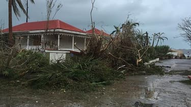 Les assureurs doivent verser 1,8 milliards aux sinistrés de l'ouragan Irma.