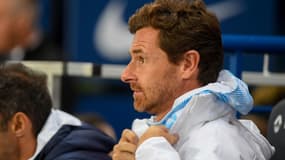 Villas Boas