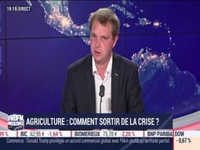 Agriculture: Comment sortir de la crise ? - 08/10