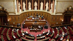 Le budget du Sénat atteint 324 millions d'euros