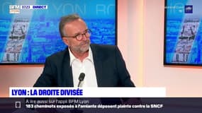 Lyon: pour Etienne Blanc, les Verts sont "hostiles à une politique de sécurité"