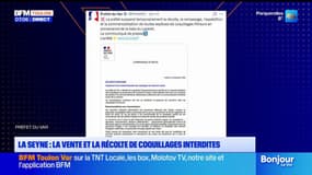 La Seyne : la vente et la récolte de coquillages interdites