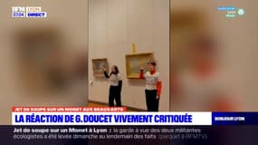 Jet de soupe aux Beaux-arts de Lyon: la réaction de Doucet vivement critiquée