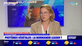 Protéines végétales: la Normandie leader de la production?