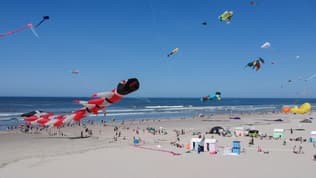 Des cerfs-volants sur la plage de Berck lors de l'édition 2018 du festival.