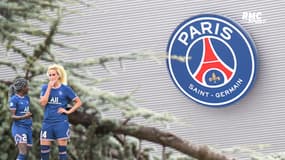 Affaire Hamraoui-Diallo : retentissement mondial dans la presse, le PSG se barricade avant le choc face à l'OL