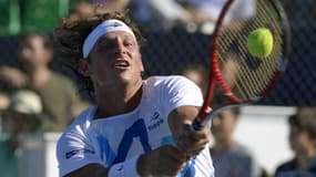 David Nalbandian, à Buenos Aires le 23 novembre 2013
