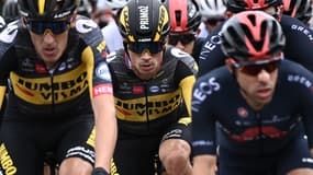 Roglic