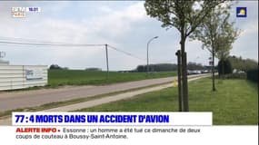 Seine-et-Marne: quatre morts dans un accident d'avion de tourisme