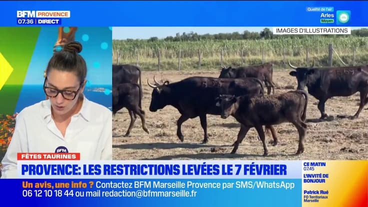 La Fédération des Manadiers annonce la levée du confinementrise dès le 7 février