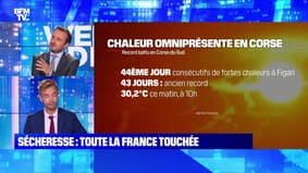Sécheresse : toute la France touchée - 24/07