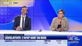 Les Experts : Législatives, l'AFEP sort du bois - 18/06