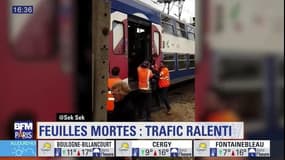 Un malaise, puis des feuilles mortes: la matinée de galère des usagers du RER C