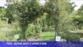 FOCUS : Salagon, Musée et Jardins à Mane