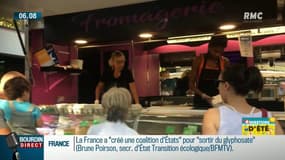 Quels fromages mettre dans son assiette en ce mois d'août?