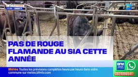 Le journal de 18h du jeudi 15 janvier 2026