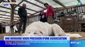 Le journal de 18h du mardi 11 novembre 2025