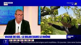 Indemnisations après le gel: le président de la chambre d'agriculture du Rhône appelle à débloquer les aides rapidement