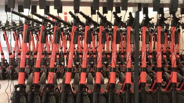 Des dizaines de trottinettes en train de recharger dans le nouvel entrepôt de VOI à Alfortville (Val-de-Marne).