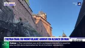 L'Ultra-Trail Mont-Blanc arrive en Alsace en mai prochain