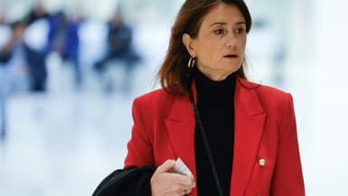 La députée Sandrine Josso, arrivant au tribunal de Paris pour une confrontation avec le sénateur Joël Guerriau, Paris, le 6 novembre 2024