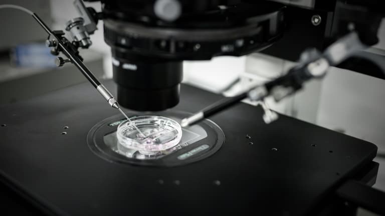 Injection cytoplasmique de sperme au laboratoire de reproduction biologique CECOS de l'hôpital Tenon, le 24 septembre 2019 à Paris