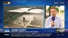 BFM Story: Inondations dans l'Hérault: l'heure du bilan - 30/09