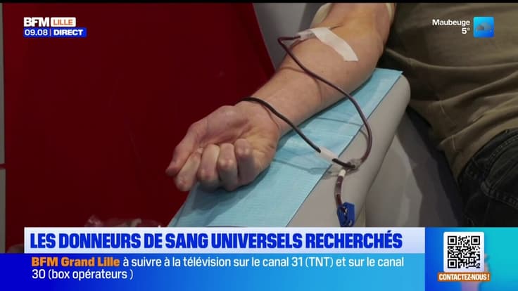Les donneurs de sang universels recherchés 