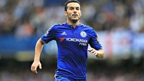 Pedro