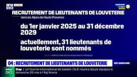 Alpes-de-Haute-Provence: le département recrute des lieutenants de louveterie 