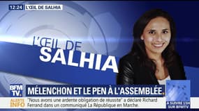 L’œil de Salhia: Jean-Luc Mélenchon et Marine Le Pen à l’Assemblée