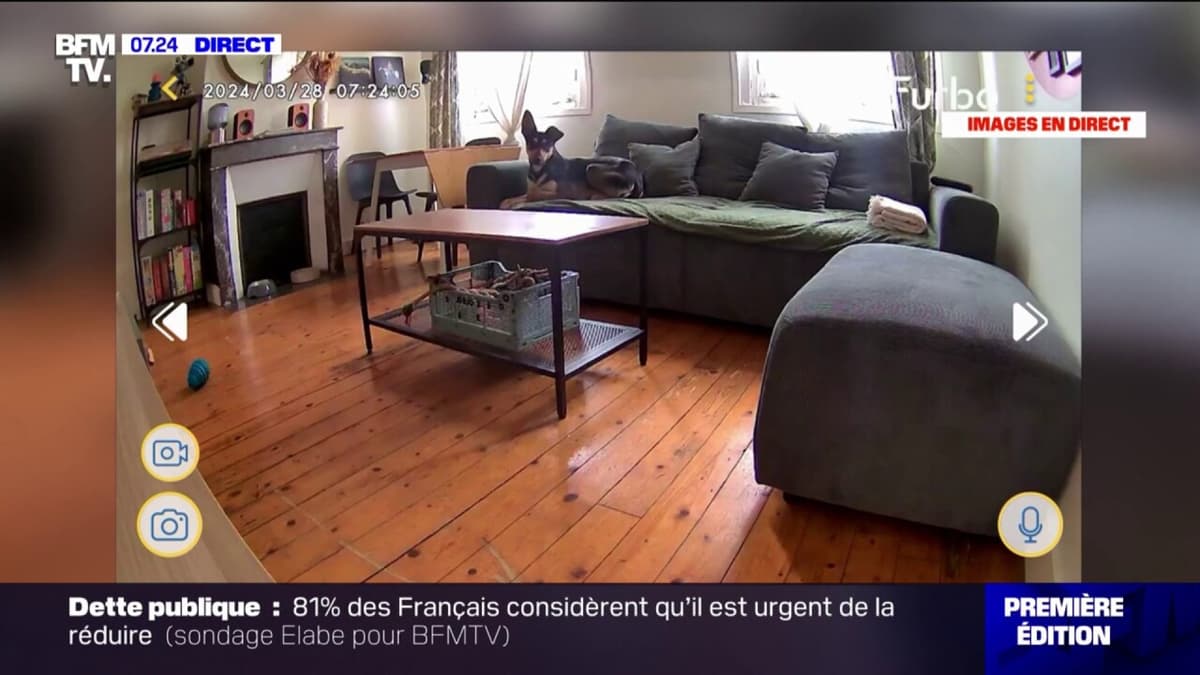 placeholder video