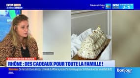 Le Quart d'heure des Gones du mercredi 18 décembre 2024 -  Rhône : des cadeaux pour toute la famille !