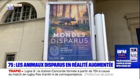 Paris: le muséum d'histoire naturelle propose de découvrir des animaux disparus en réalité augmentée