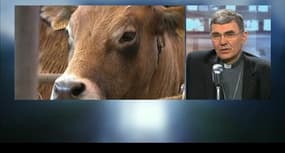 Des évêques au Salon de l'Agriculture pour "dire aux agriculteurs qu'ils ont un beau métier" 