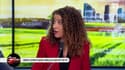 Le Grand Prix de l'Élysée: Débats sur TF1: Nicolas Dupont-Aignan dénonce un viol de la démocratie - 22/02