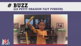 Zapping TV : A 5 ans, ce jeune prodige du kung-fu fait sensation 