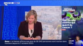 Une tomate violette qui guérit du cancer ?  BFMTV répond à vos questions