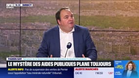 Aides aux entreprises : un coût démesuré ? 