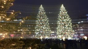 Photo de sapins de noël à Strasbourg le 27 novembre 2020