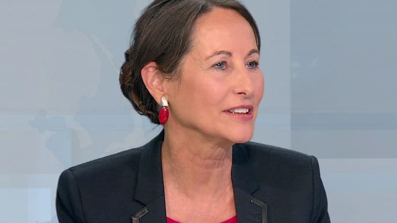 Ségolène Royal a estimé mardi que Delphine Batho se faisait "du mal à elle-même".