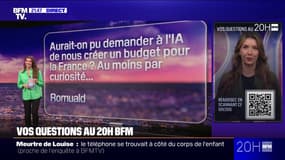 VOS QUESTIONS AU 20H - Aurait-on pu demander à l'intelligence artificielle de créer un budget pour la France?