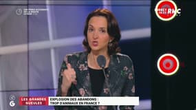 Explosion des abandons : trop d'animaux en France - 09/07