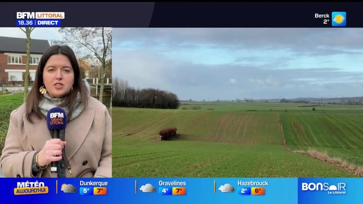 Bonsoir Littoral du mardi 30 décembre 2025