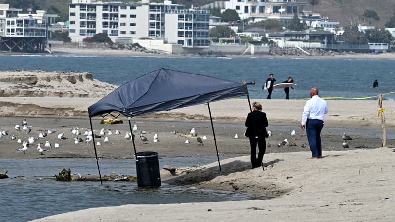 États-Unis: un cadavre retrouvé dans un tonneau sur la plage de Malibu, en Californie