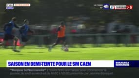 Ligue 2: le Stade Malherbe de Caen se déplace à Pau ce vendredi soir